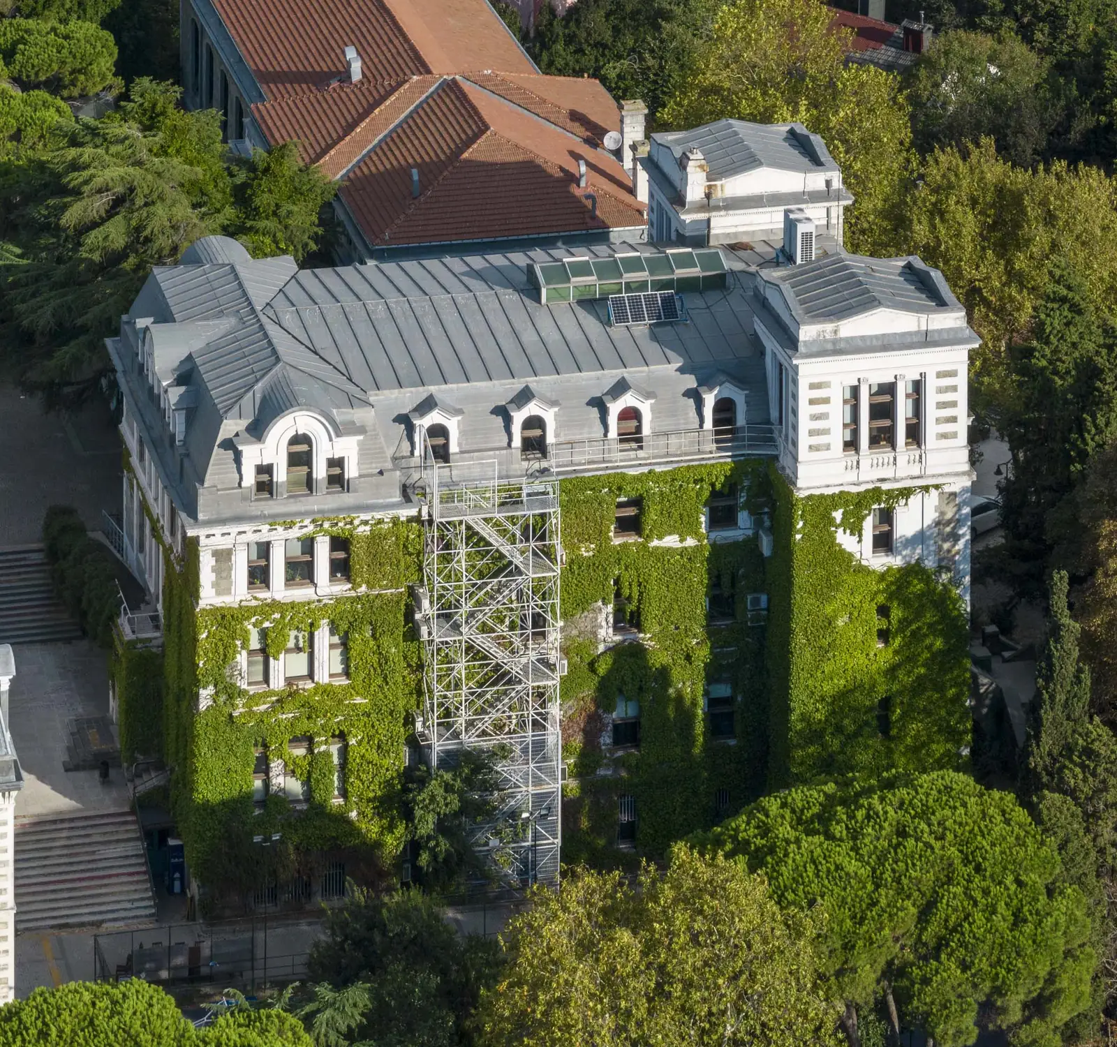 Boğaziçi Üniversitesi Güney Kampüsü, sarmaşıklarla kaplı tarihi bina